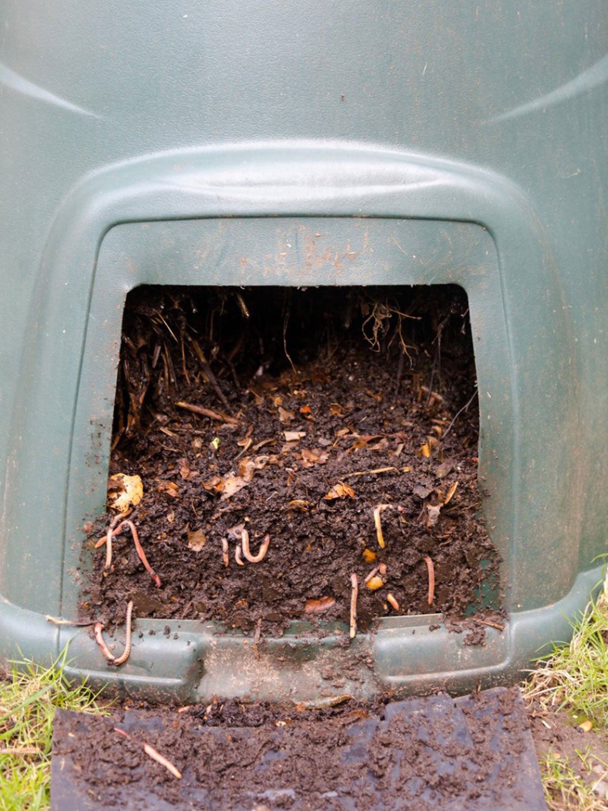Summer Worm Care: Keeping Your Bin Cool and Productive in Florida Heat Worm composting bin in summer heat